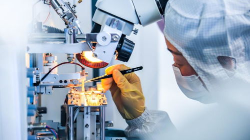 激勵更多年輕人走技能成才技能報國之路——以網(wǎng)絡(luò)科技技術(shù)開發(fā)為例